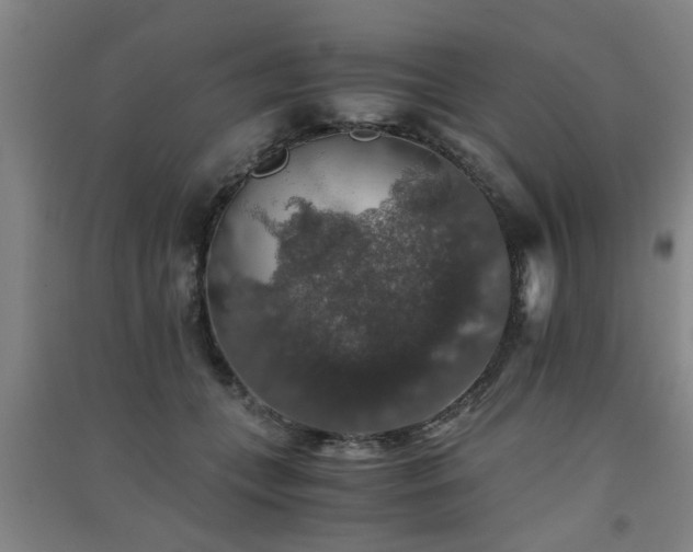 X0000091550559200708171307