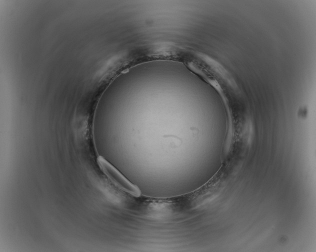 X0000091550560200708171307
