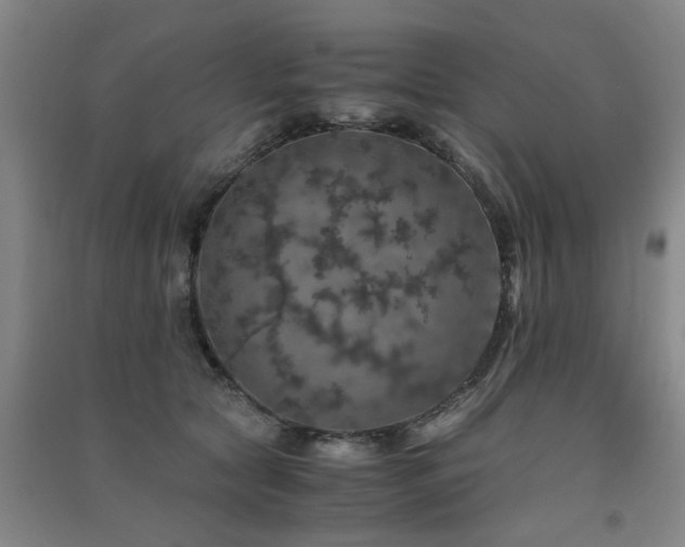 X0000091550561200708171307