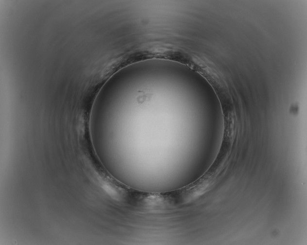 X0000091550562200708171307