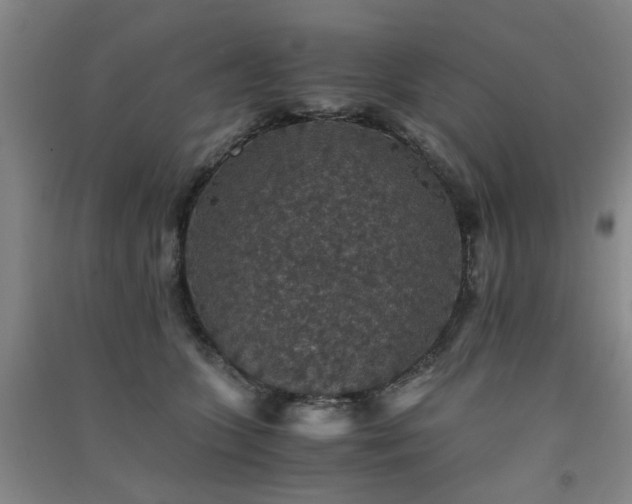 X0000091550563200708171307