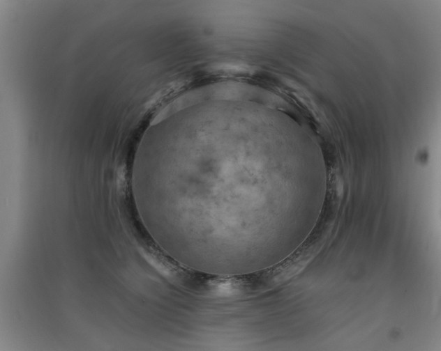 X0000091550564200708171307
