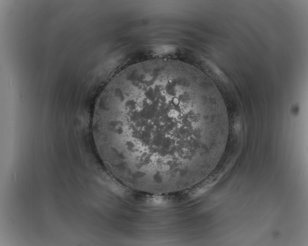 X0000091550565200708171308