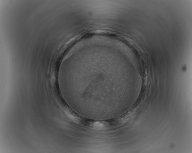 X0000091550566200708171308