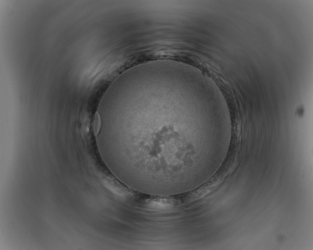 X0000091550567200708171308