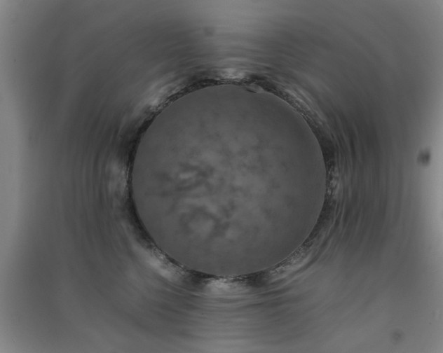 X0000091550568200708171308