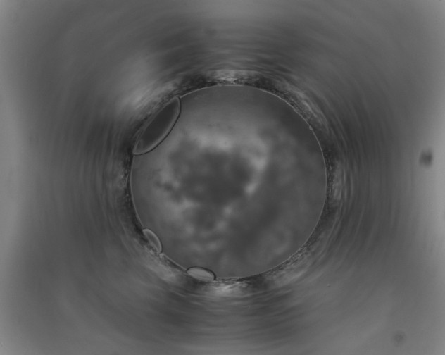 X0000091550569200708171308