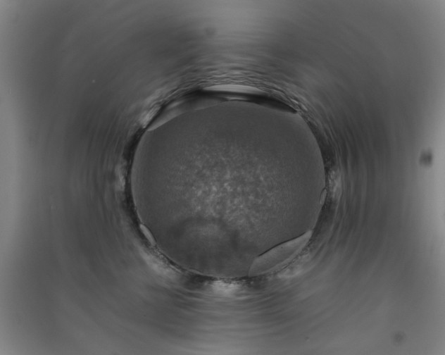 X0000091550570200708171308