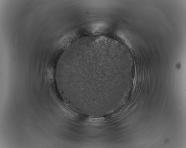X0000091550571200708171308