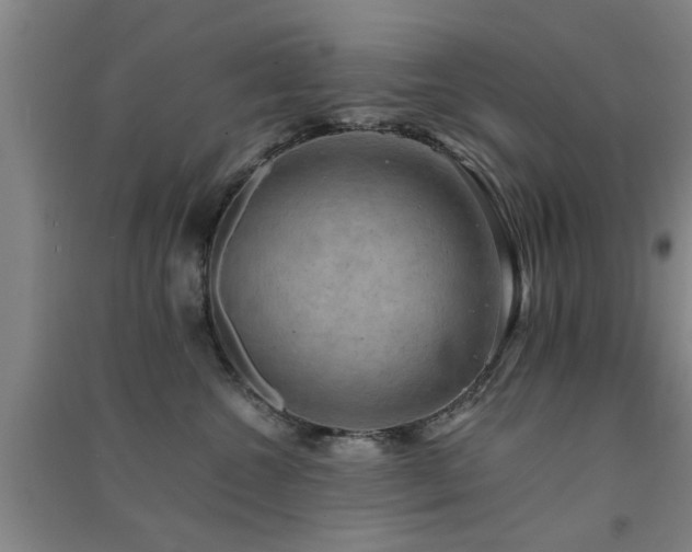 X0000091550572200708171308