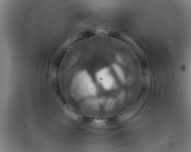 X0000091550573200708171308