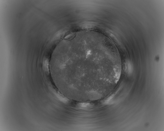 X0000091550575200708171308