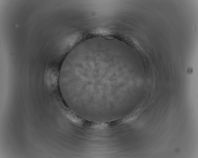 X0000091550576200708171308
