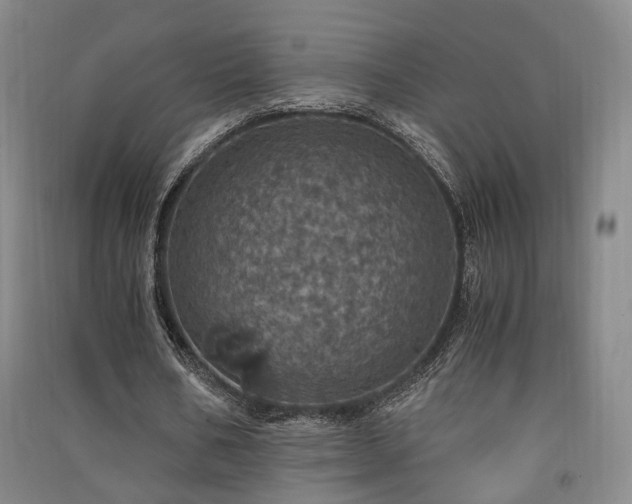 X0000091550578200708171307