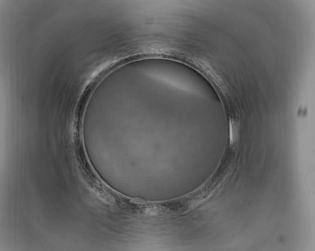 X0000091550579200708171307