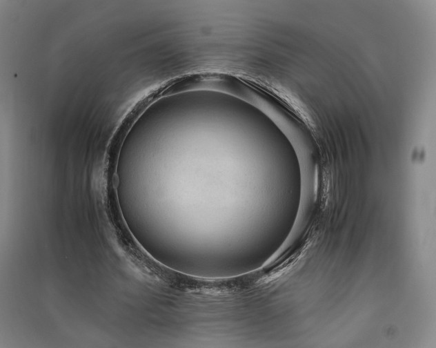 X0000091550580200708171307
