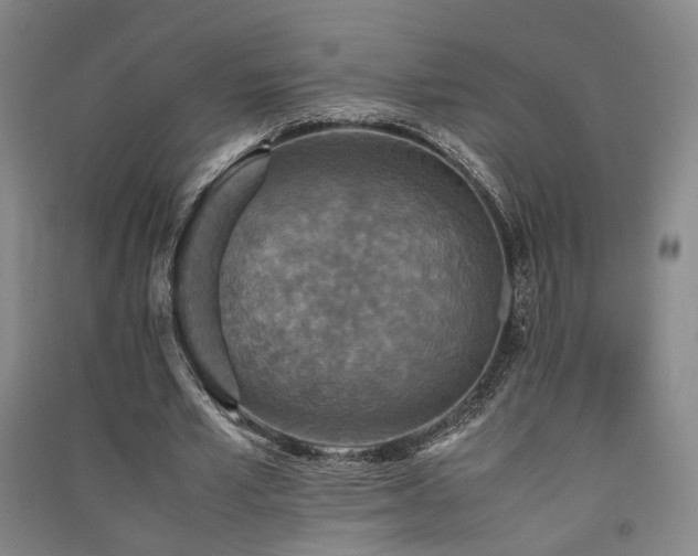 X0000091550581200708171307