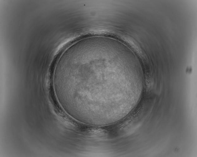 X0000091550583200708171307