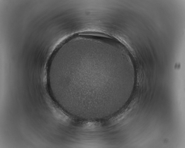 X0000091550584200708171307