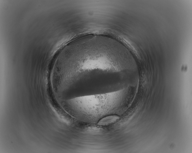 X0000091550586200708171307