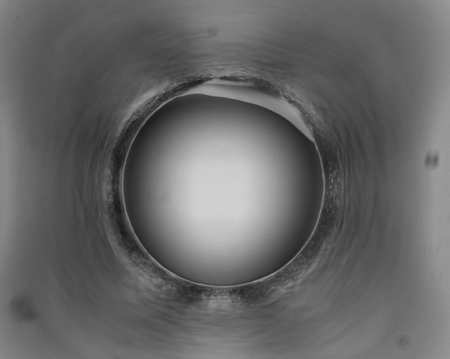 X0000091550587200708171307