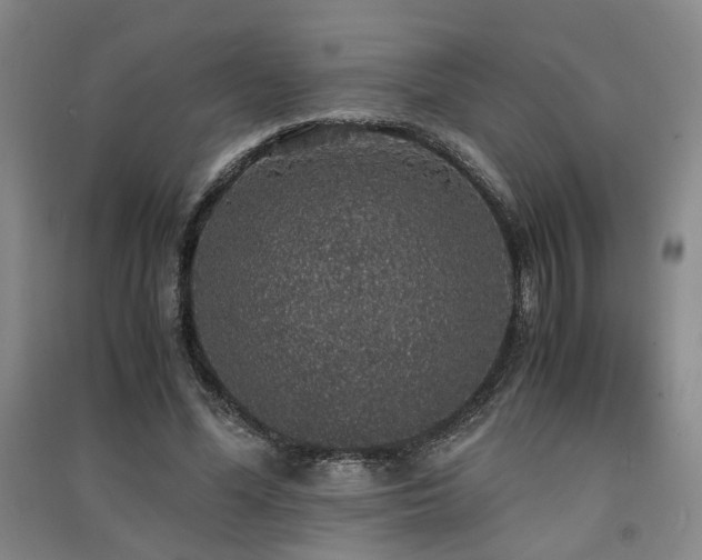 X0000091550588200708171307