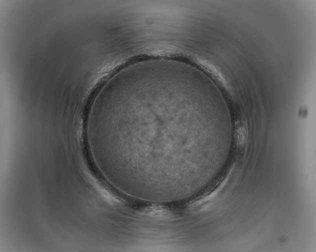 X0000091550589200708171307