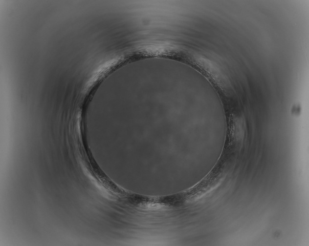 X0000091550590200708171307