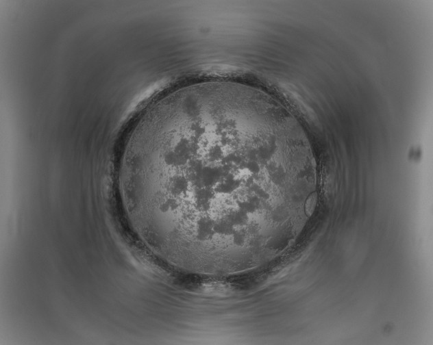 X0000091550591200708171307