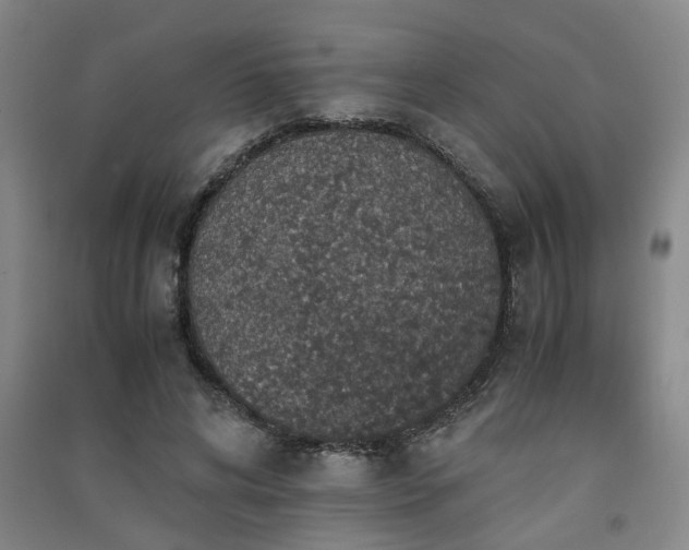 X0000091550592200708171307