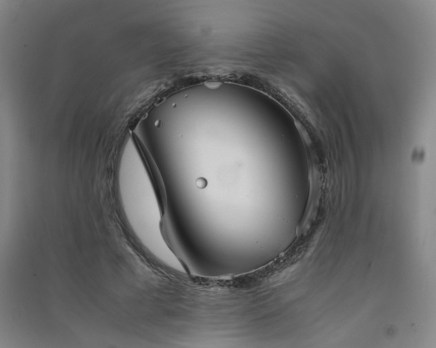 X0000091550593200708171307