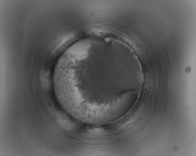 X0000091550594200708171307