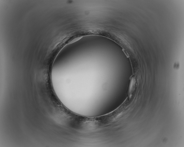 X0000091550595200708171307