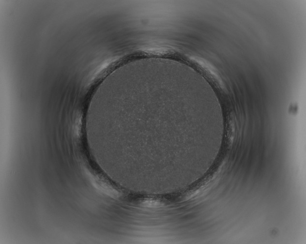 X0000091550596200708171307