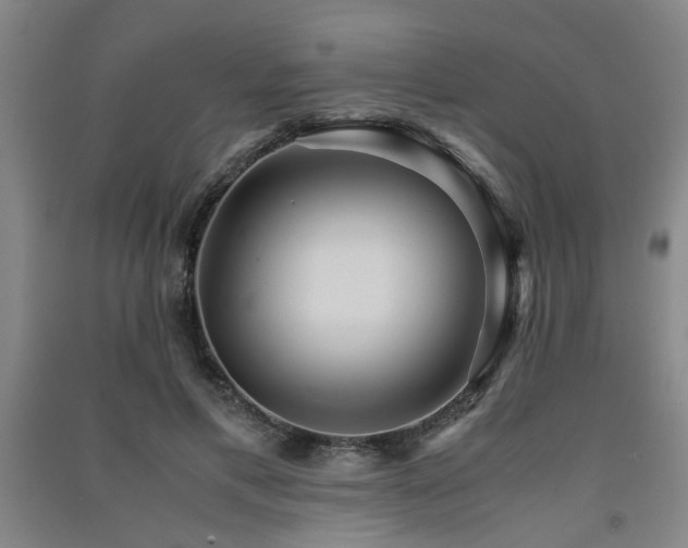 X0000091550597200708171307