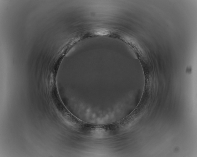 X0000091550598200708171307