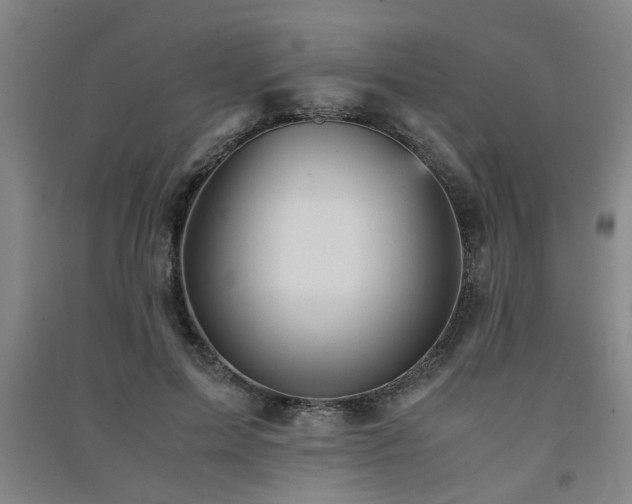 X0000091550599200708171307