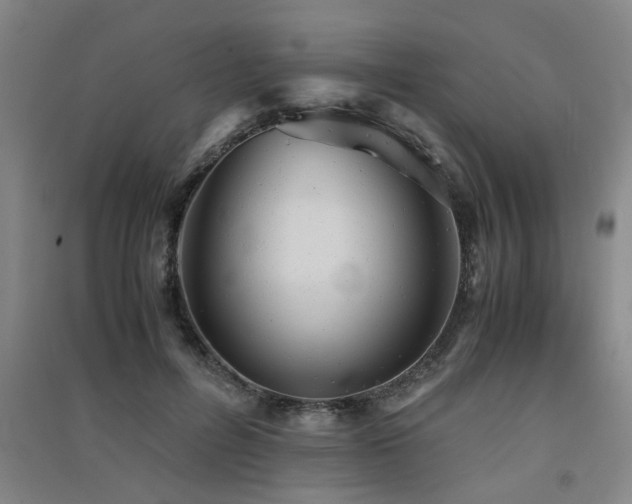 X0000091550600200708171307
