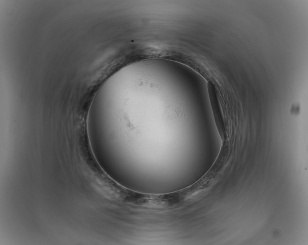 X0000091550601200708171307