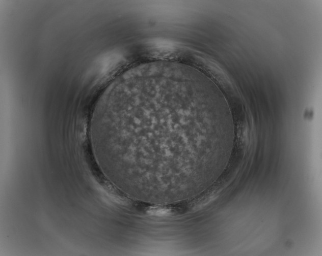 X0000091550602200708171307