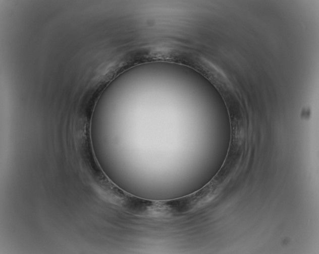 X0000091550603200708171307