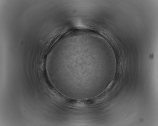 X0000091550604200708171307
