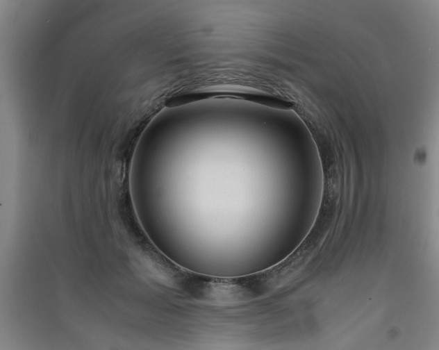 X0000091550605200708171307