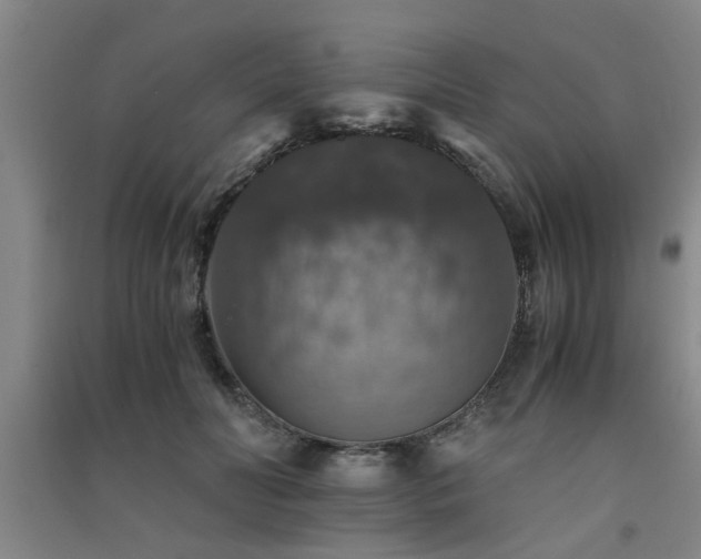 X0000091550606200708171307