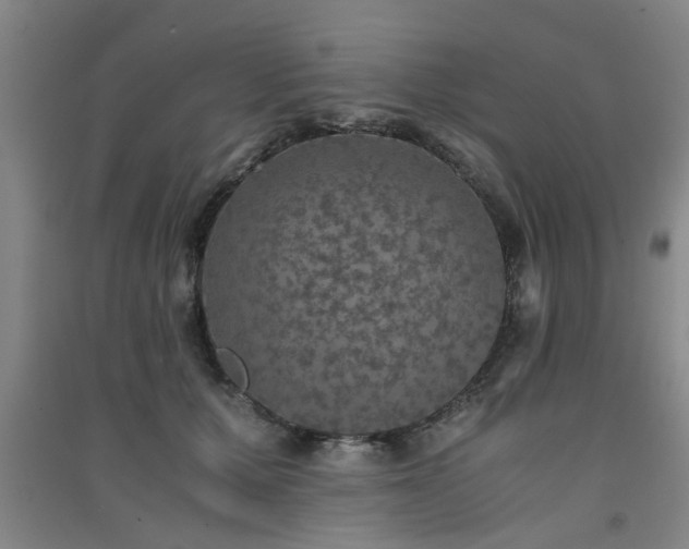 X0000091550607200708171307