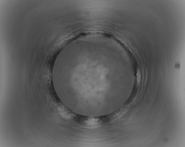 X0000091550609200708171307