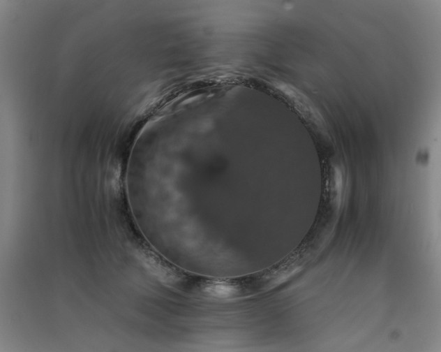 X0000091550610200708171307