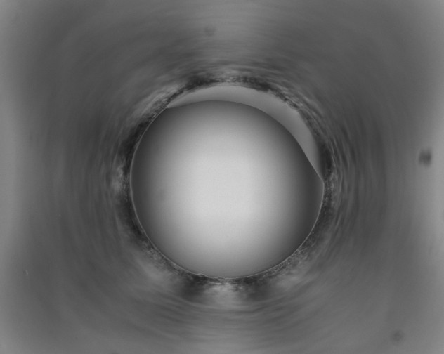 X0000091550611200708171307