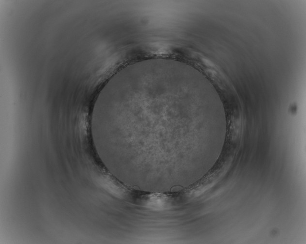X0000091550612200708171307