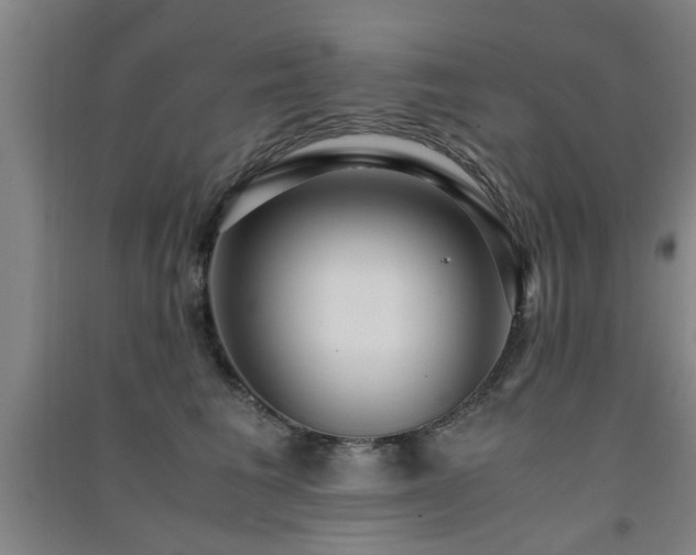 X0000091550613200708171307